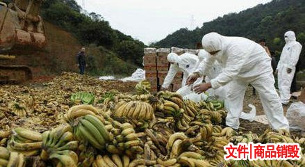 電腦硬盤(pán)銷(xiāo)毀